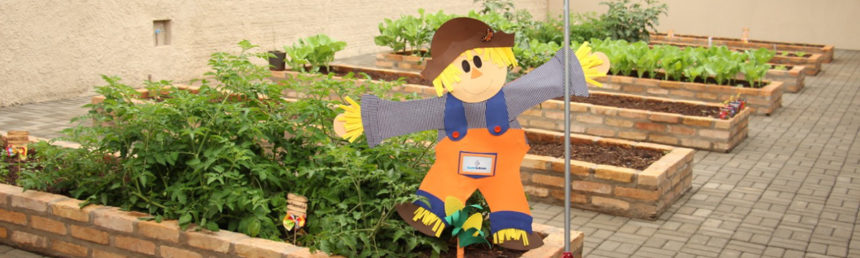 ‘Espaço Verde’ do Colégio Santo Antônio ensina na prática sobre a preservação ambiental